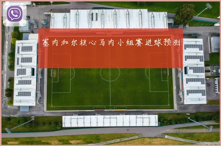 塞内加尔核心马内小组赛进球预测