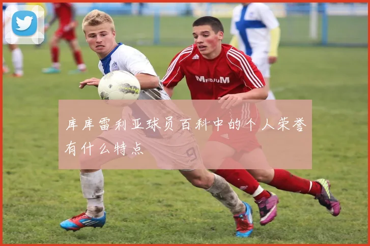 库库雷利亚球员百科中的个人荣誉有什么特点