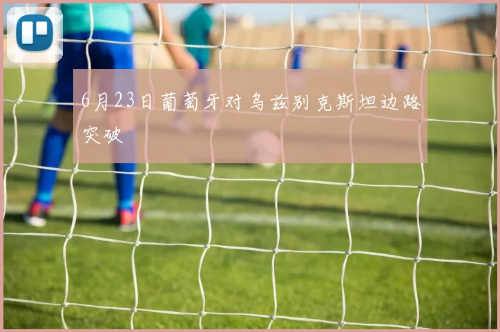 6月23日葡萄牙对乌兹别克斯坦边路突破