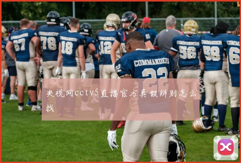 央视网cctv5直播官方真假辨别怎么找