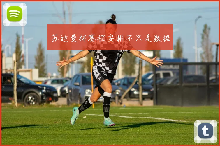 苏迪曼杯赛程安排不只是数据