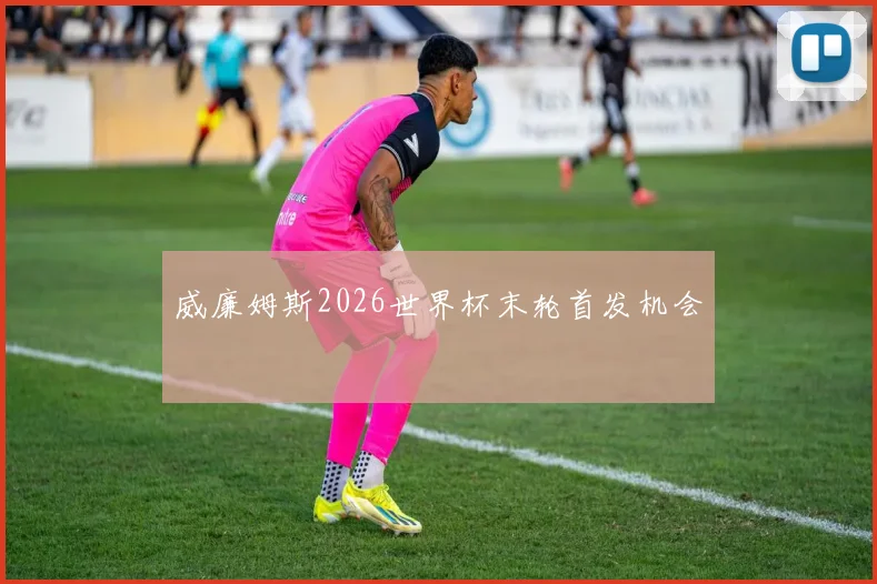 威廉姆斯2026世界杯末轮首发机会