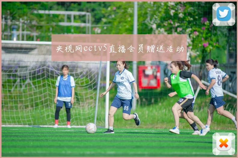 央视网cctv5直播会员赠送活动