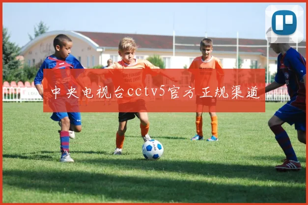 中央电视台cctv5官方正规渠道